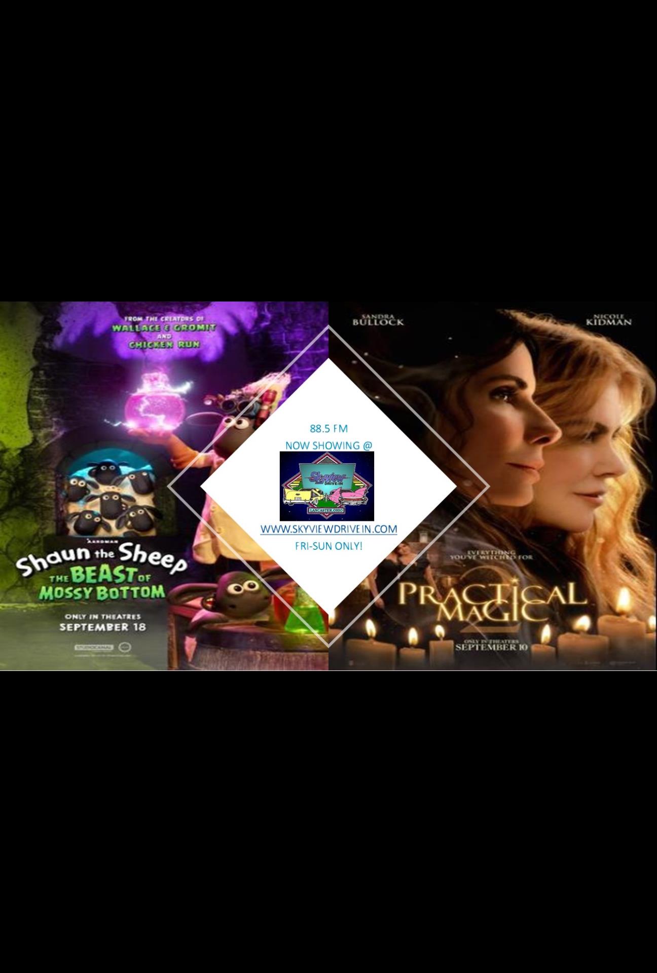 SHAUN THE SHEEP 3 & PRACTICAL MAGIC 2-SV